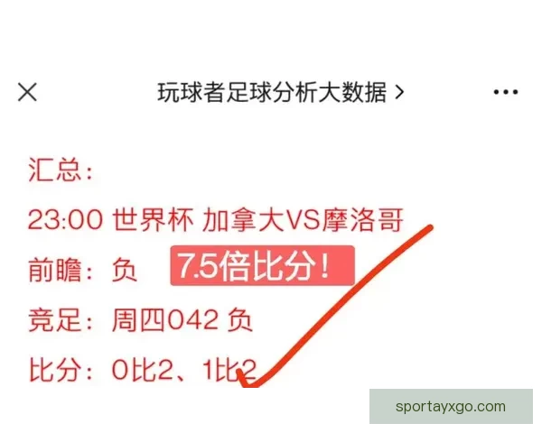世界杯赛事精准比分预测与竞猜策略全方位分析